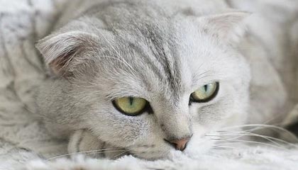 kaiyun.com-中国女篮强调团队协作 增强比赛掌控力，中国女篮很强