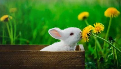 kaiyun.com-中国女篮强调团队协作 增强比赛掌控力，中国女篮很强